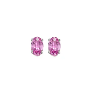 14KT White Gold Classic Book Color Stud Earrings