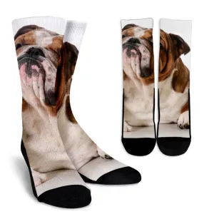 Bulldog Socks
