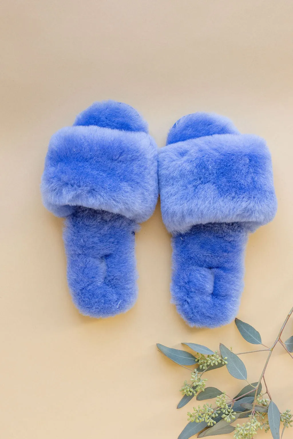 Frankie Slipper