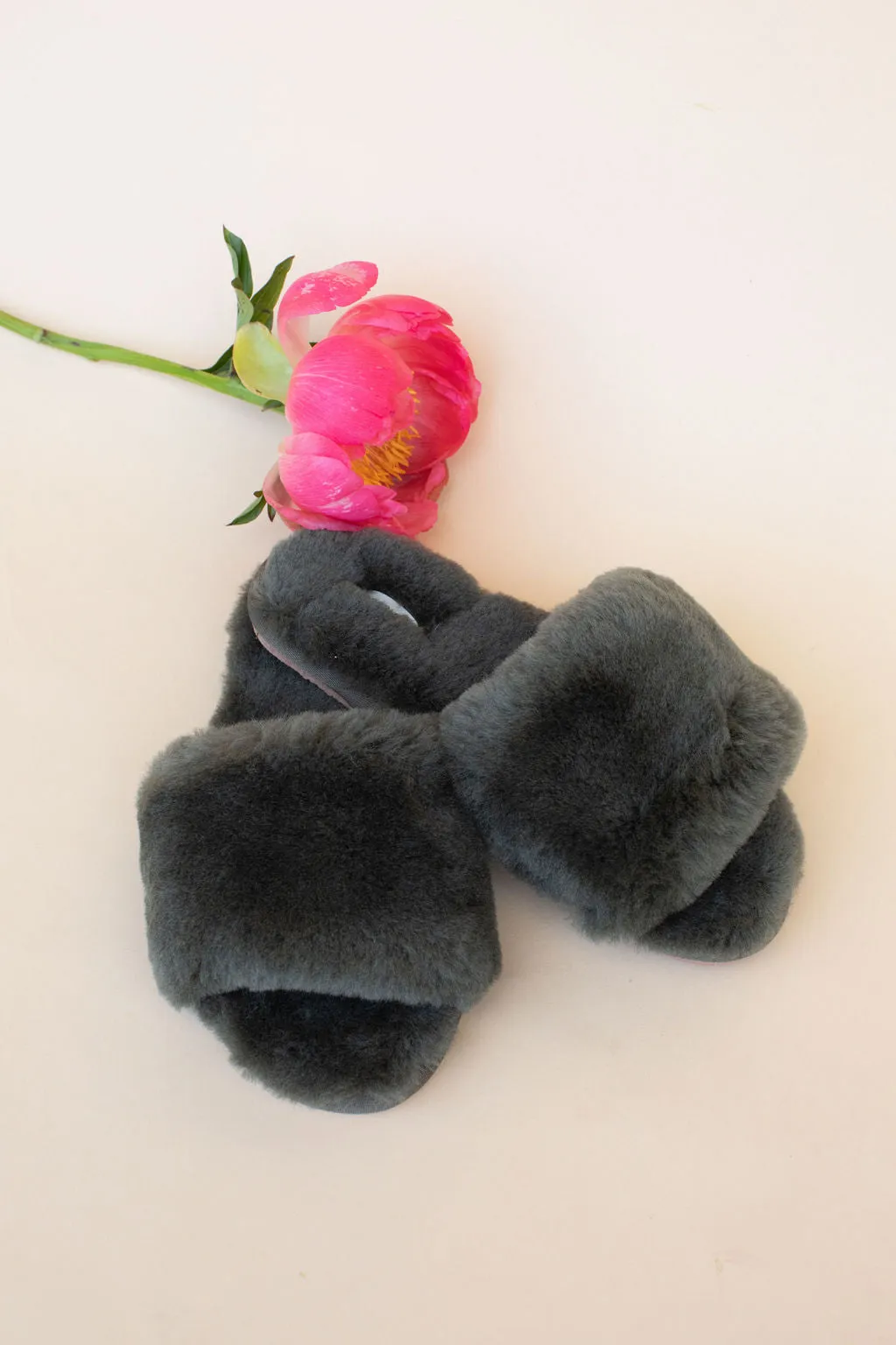 Frankie Slipper