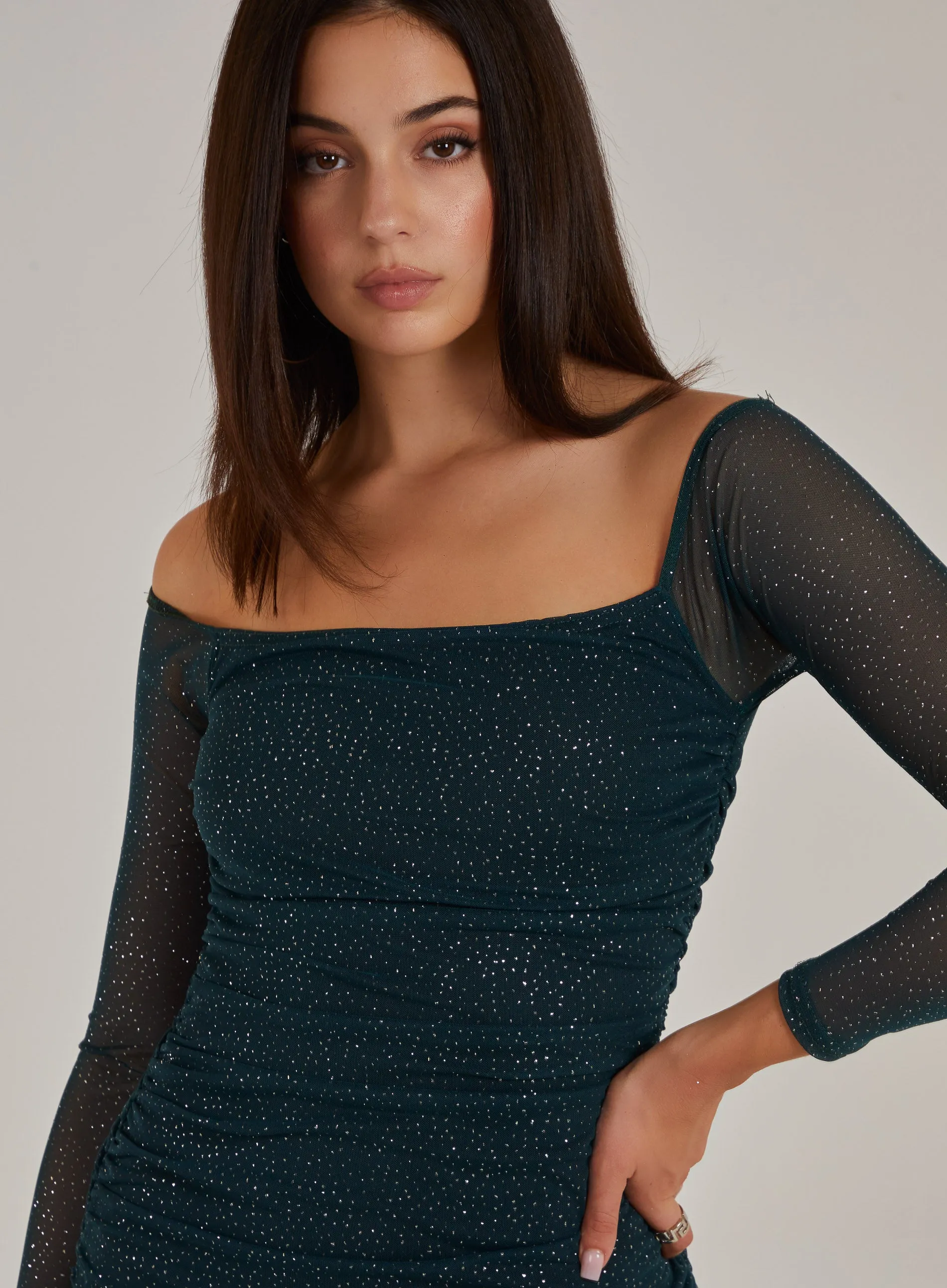 Glitter Mesh Off the Shoulder Mini Dress