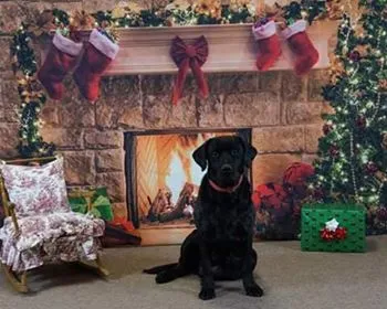 Kate Christmas Red Socks with Fireplace Backdrop for Photography