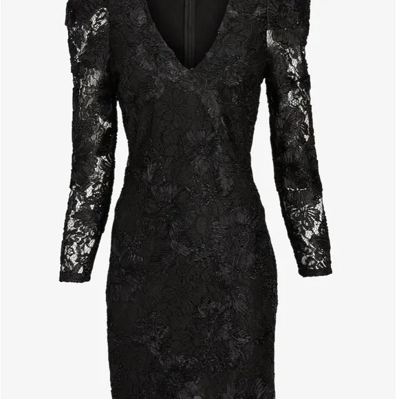 NWT! EXPRESS Lace V-Neck Puff Sleeve Mini Sheath Dress - Size M