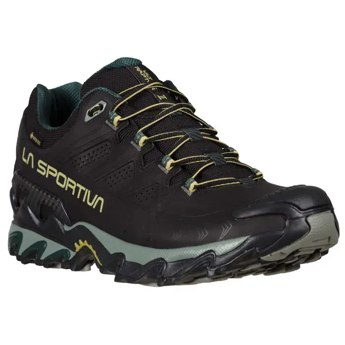 Ultra Raptor II Leather GTX M