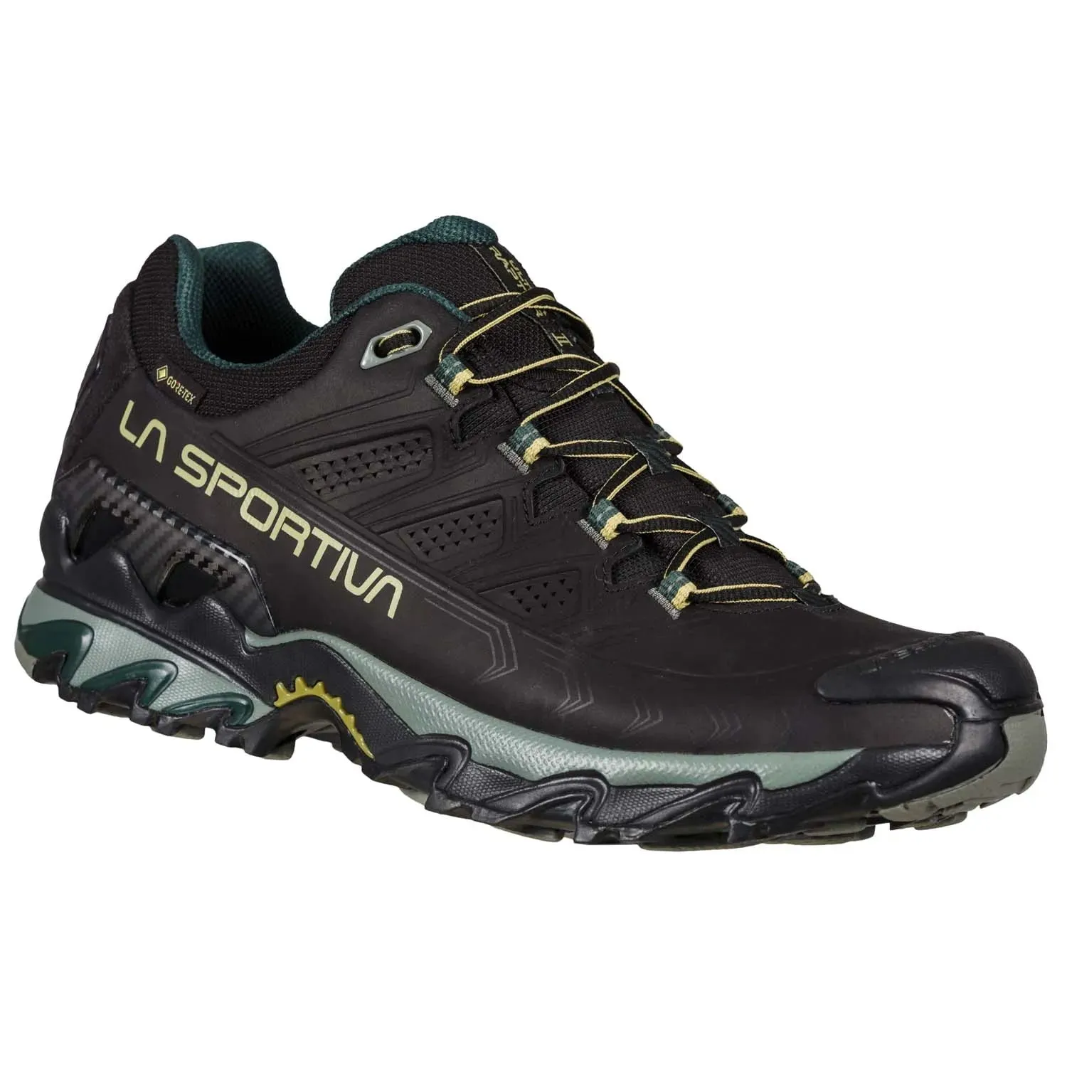 Ultra Raptor II Leather GTX M