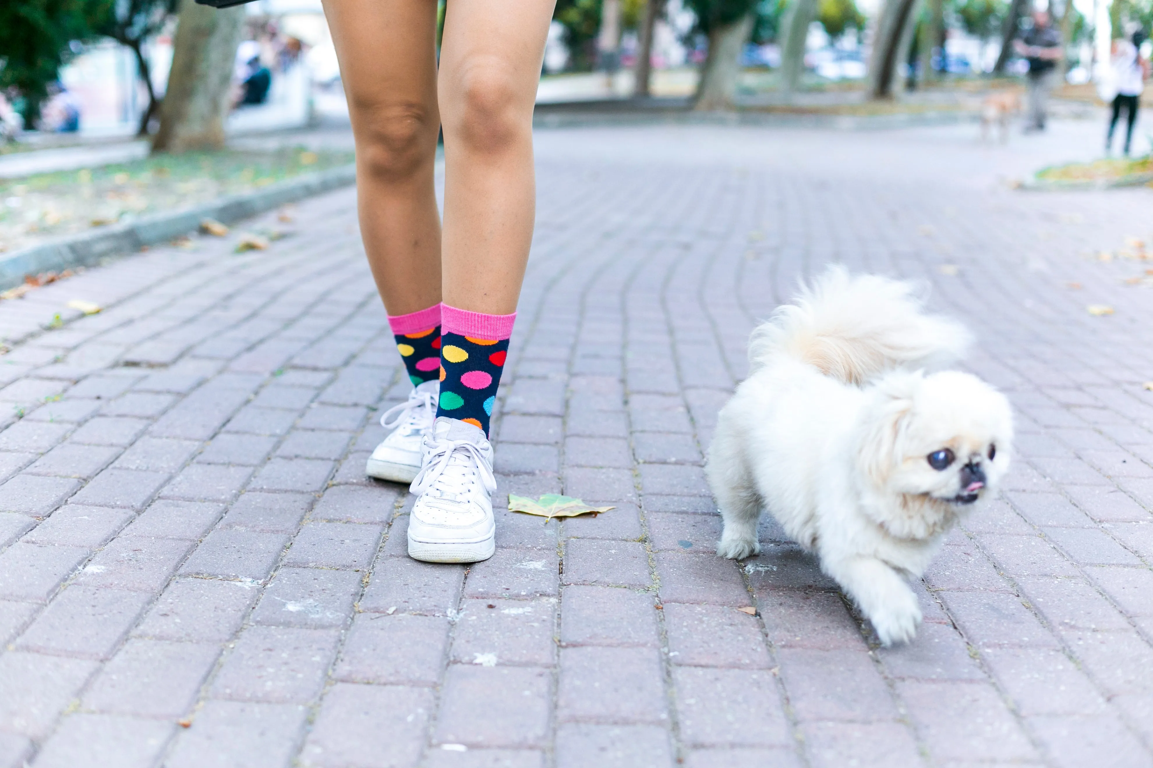 Women's Pink Sky Dot Socks
