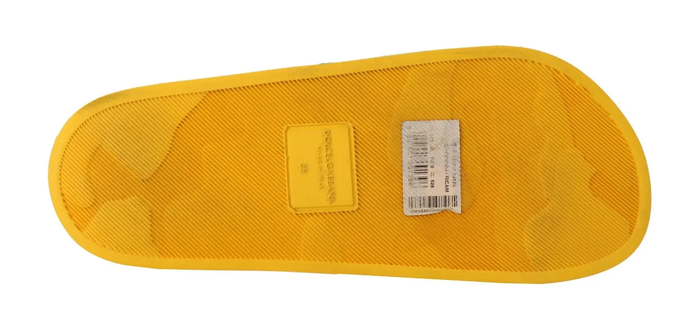 Yellow Green Velvet DG Logo Slides
