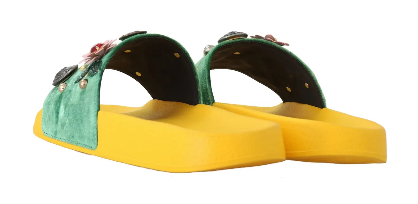 Yellow Green Velvet DG Logo Slides