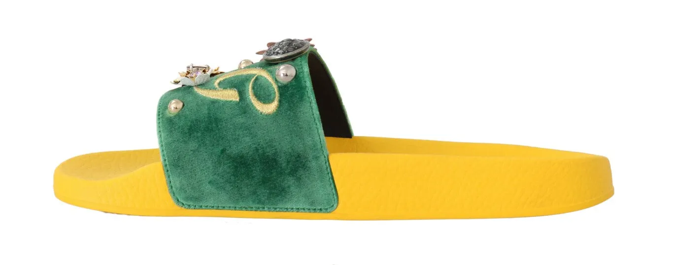 Yellow Green Velvet DG Logo Slides