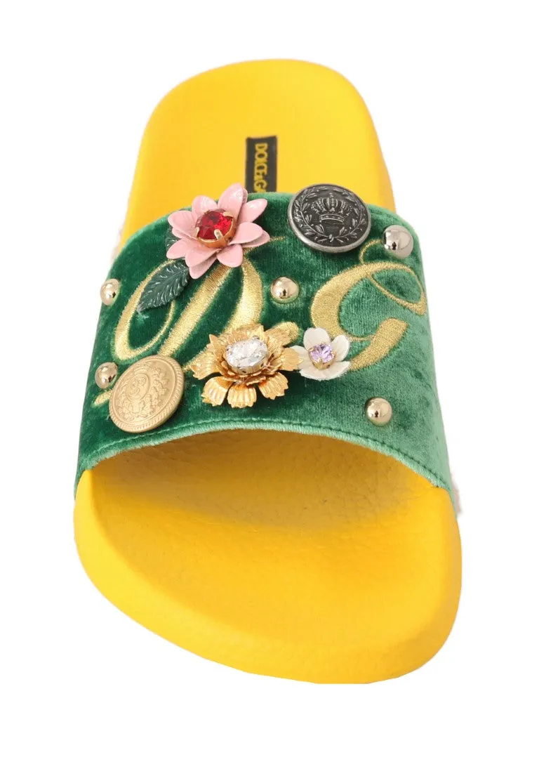 Yellow Green Velvet DG Logo Slides