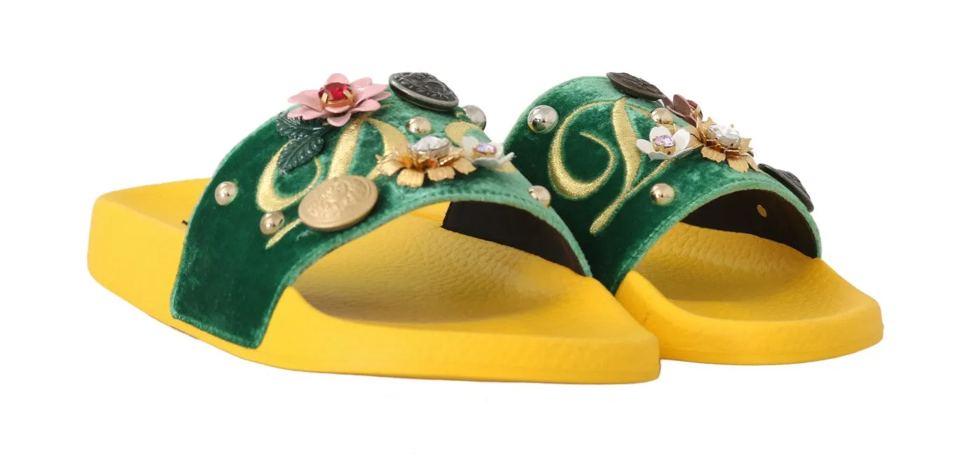 Yellow Green Velvet DG Logo Slides