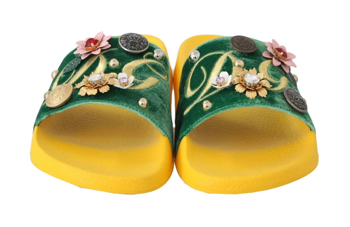 Yellow Green Velvet DG Logo Slides